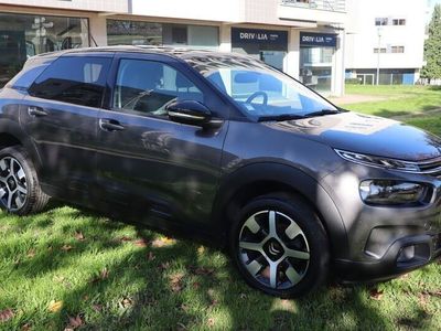 usado Citroën C4 Cactus 1.6 BlueHDi Shine