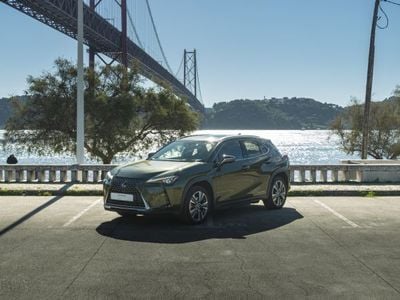 Verde Usado 2021 Lexus UX 300e Luxury Line SUV | € 36.650
