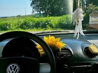 VW Beetle