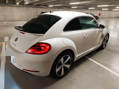 VW Beetle