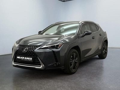 Usado Lexus UX 152 HP (111 kW) 2023 Cinzento SUV