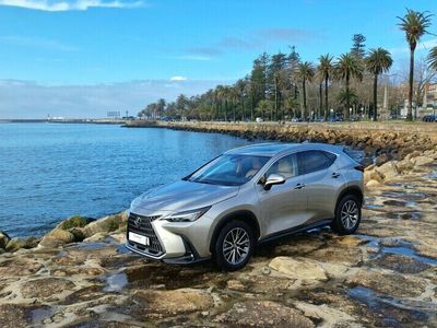 usado Lexus NX450h+ NX NX 450h+ Premium