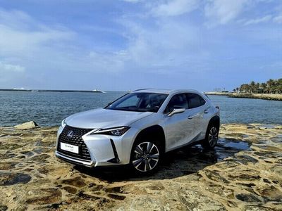 usado Lexus UX Luxury +