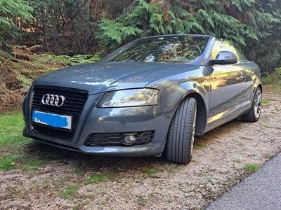 usado Audi A3 Cabriolet 1.6 TDI