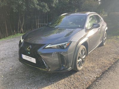 usado Lexus UX UX250h Sport