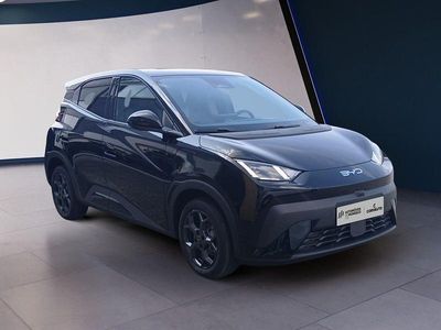 Usado BYD Dolphin Comfort 114 kW (156 HP) 2025 Outro Citadino