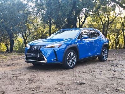 Azul Usado 2021 Lexus UX 300e Luxury Line SUV | € 43.500