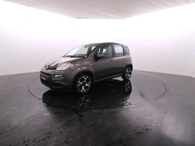 Cinzento Usado 2022 Fiat Panda | € 14.450 (Caro)