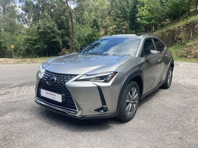 Lexus UX 300e