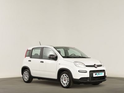 usado Fiat Panda Panda1.0 Hybrid