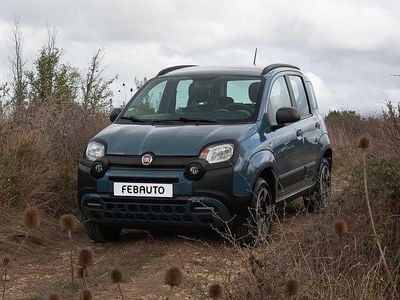 Azul Usado 2021 Fiat Panda 4x4 S Citadino | € 11.900