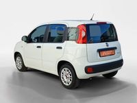 Usado Fiat Panda City Life 70 HP (51 kW) 2022 Branco Citadino