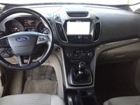 usado Ford Grand C-Max 1.5 TDCi Titanium S/