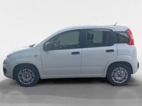 Usado Fiat Panda 70 HP (51 kW) 2022 Branco Citadino