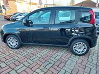 usado Fiat Panda 1.0 Hybrid