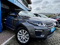 usado Land Rover Range Rover evoque 2.0 ED4 SE 150Cv | CÂMARA | TETO | PELE