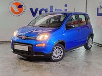 Usado Fiat Panda 70 HP (51 kW) 2025 Azul Citadino