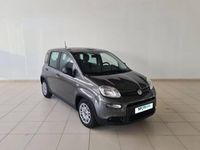 usado Fiat Panda 1.0 Hybrid 70cv Hybrid Launch Edition