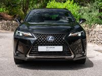 usado Lexus UX UX250h Special Edition