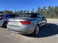 usado Audi A5 Cabriolet Cabrio 2.0 TDi 170CV