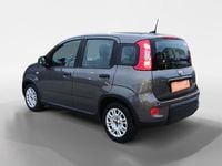Usado Fiat Panda 70 HP (51 kW) 2024 Cinzento Citadino