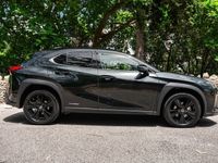 usado Lexus UX UX250h Special Edition