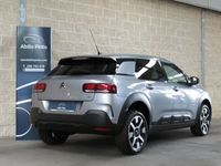 usado Citroën C4 Cactus 1.5 BlueHDi Shine