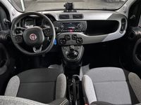 usado Fiat Panda 1.0 Hybrid