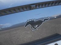 Usado Ford Mustang Mach-E 197 kW (269 HP) 2024 Cinza SUV