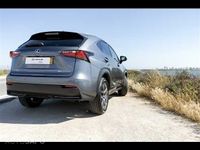 usado Lexus NX300h Executive Plus