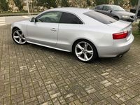 usado Audi A5 3.0 TDI coupe