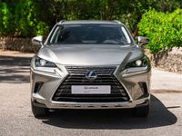 usado Lexus NX300h NXExecutive+