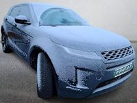 Usado Land Rover Range Rover evoque 309 HP (227 kW) 2020 Cinzento SUV