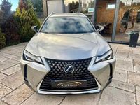 Usado Lexus UX 152 HP (111 kW) 2021 Outra SUV