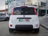 Usado Fiat Panda 70 HP (51 kW) 2022 Branco Citadino