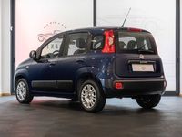 usado Fiat Panda 1.2 Lounge