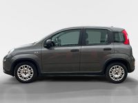 Usado Fiat Panda Red 71 HP (52 kW) 2024 Cinza Sedan
