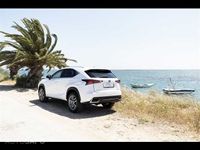 usado Lexus NX300h Executive+