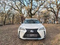 usado Lexus UX 300e Premium