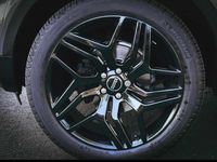 Usado Land Rover Range Rover evoque 150 HP (110 kW) 2014 Cinzento Citadino