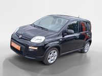 Usado Fiat Panda Red 70 HP (51 kW) 2024 Preto Sedan