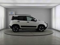 Usado Fiat Panda 70 HP (51 kW) 2024 Branco Citadino