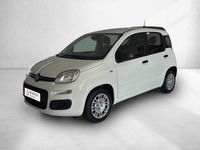 Novo Fiat Panda City Life 70 HP (51 kW) 2025 Branco Citadino