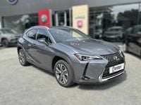 Usado Lexus UX 300e Luxury Line 150 kW (204 HP) 2021 Cinza SUV