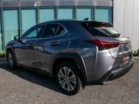 usado Lexus UX 300e Premium