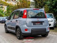 Usado Fiat Panda City Life 70 HP (51 kW) 2022 Cinza Citadino