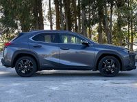 usado Lexus UX UX250h Special Edition