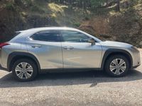 usado Lexus UX 300e UXPremium +