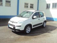 Usado Fiat Panda 70 HP (51 kW) 2023 Branco Citadino