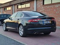 usado Jaguar XF 3.0 D V6 Luxury